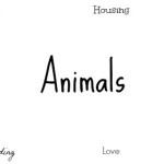 A Day in the Life of…. A Cat Owner