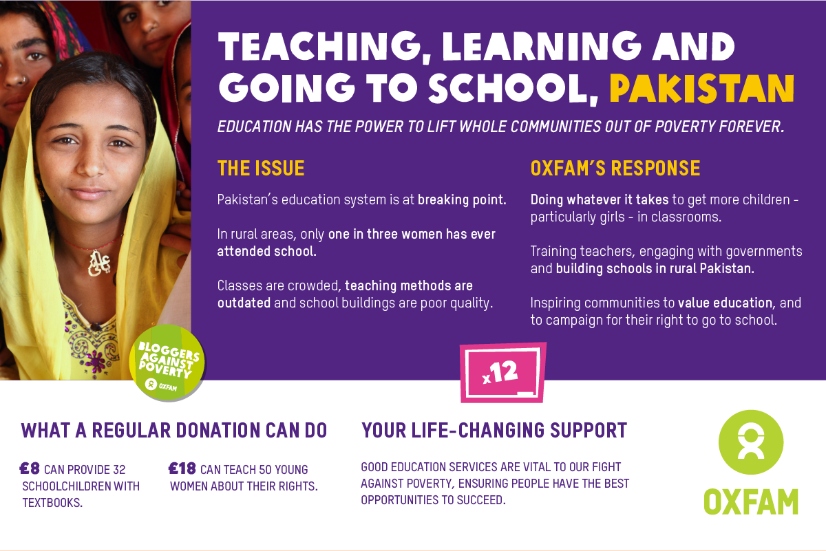 Education blogger summary