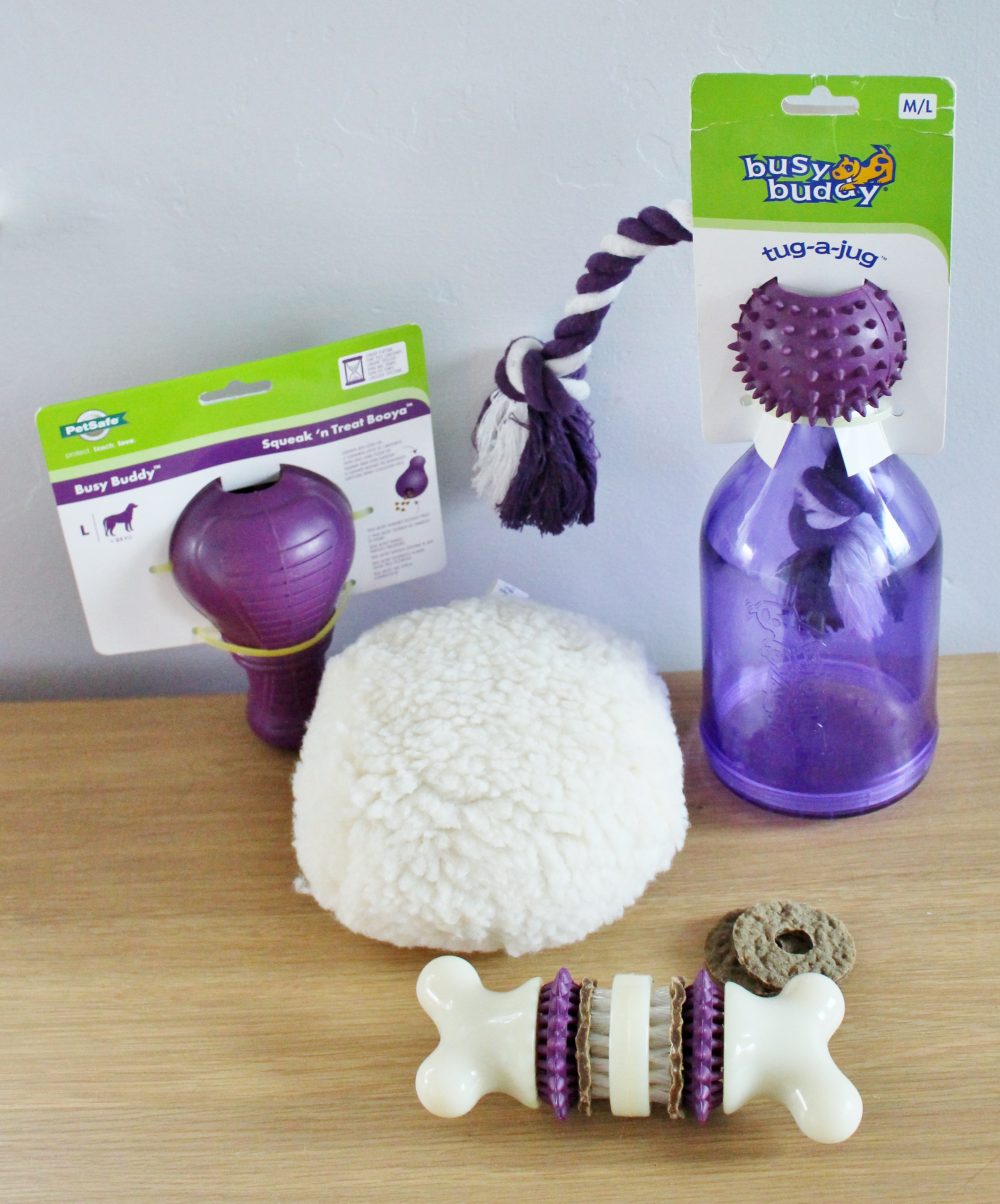 Dog Toys from Pet Safe