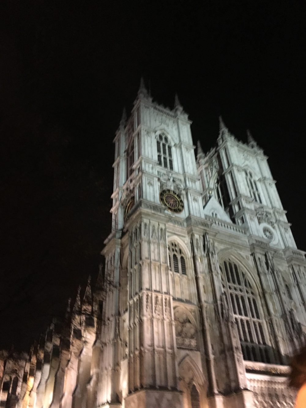Night Tour