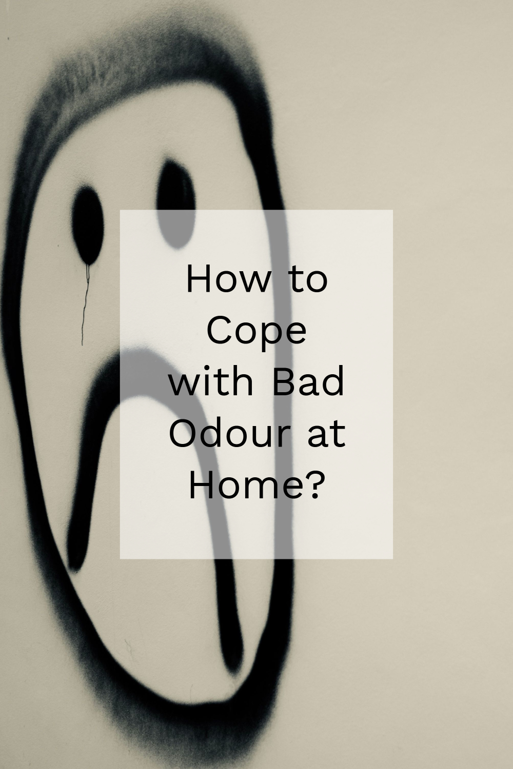 How to Cope with Bad Odour at Home?