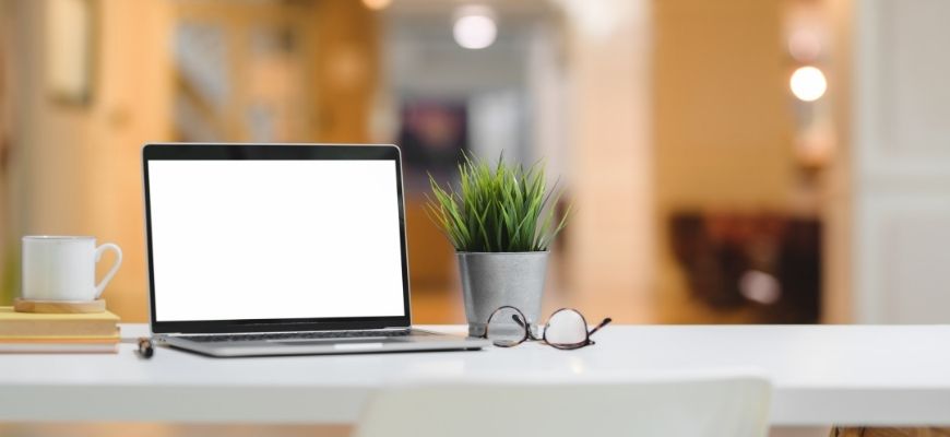computer plant and glasses