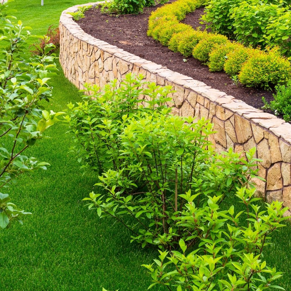 landscaped garden